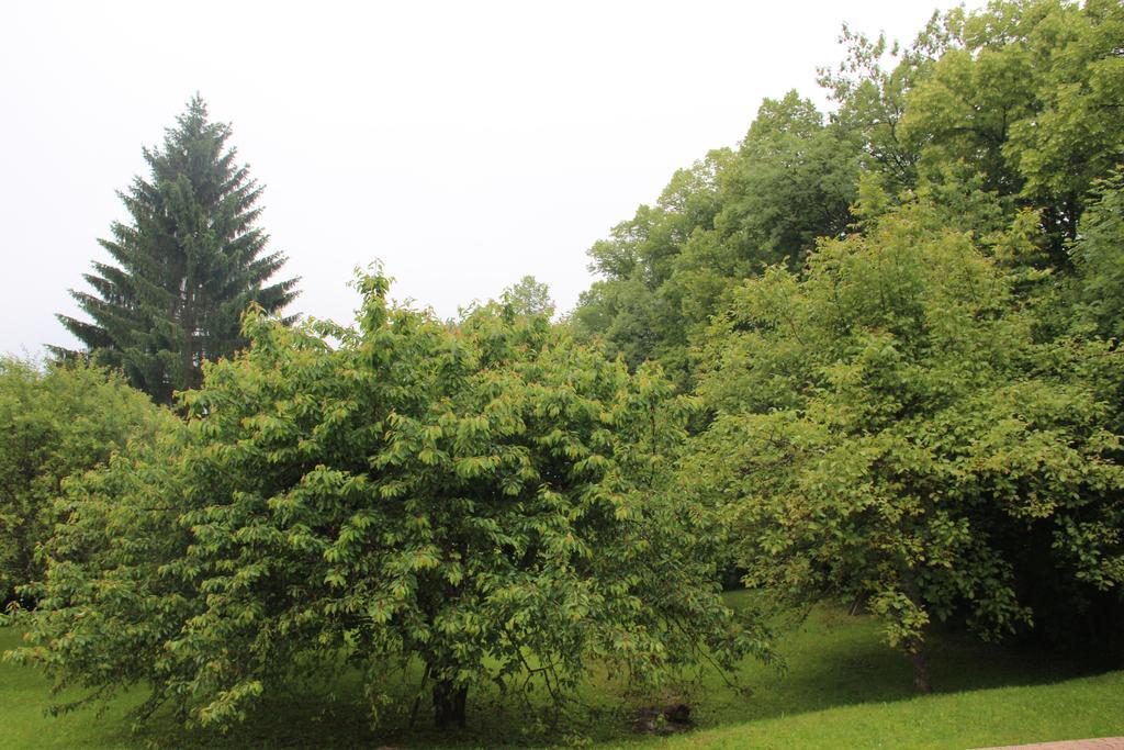 Holiday Home Maison De La Litiere Pugny-Chatenod Bilik gambar